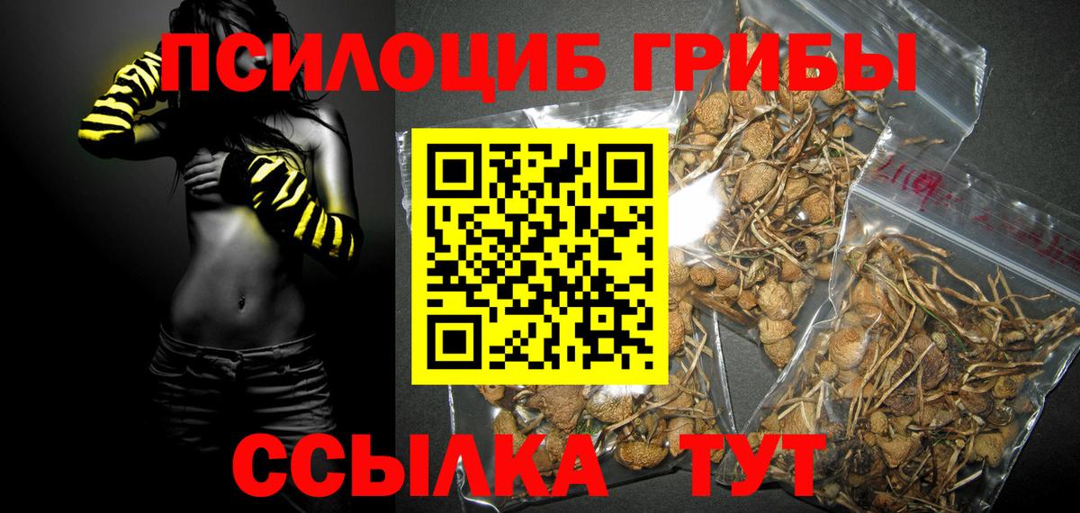 Астрахань  Псилоцибиновые грибы GOLDEN TEACHER  наркотики  Вход с VPN 