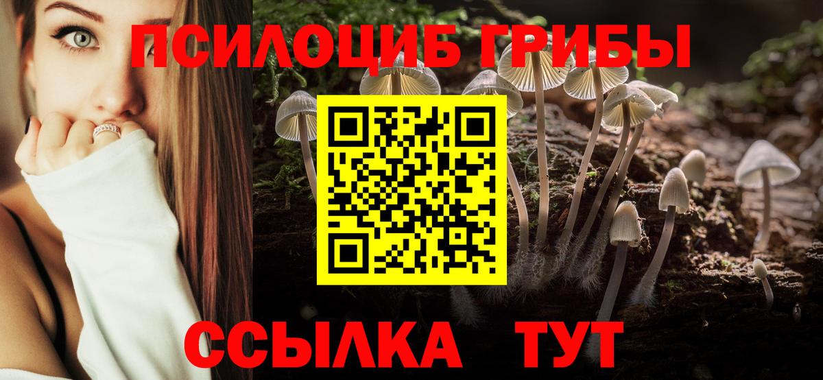 Галлюциногенные грибы Psilocybine cubensis Астрахань